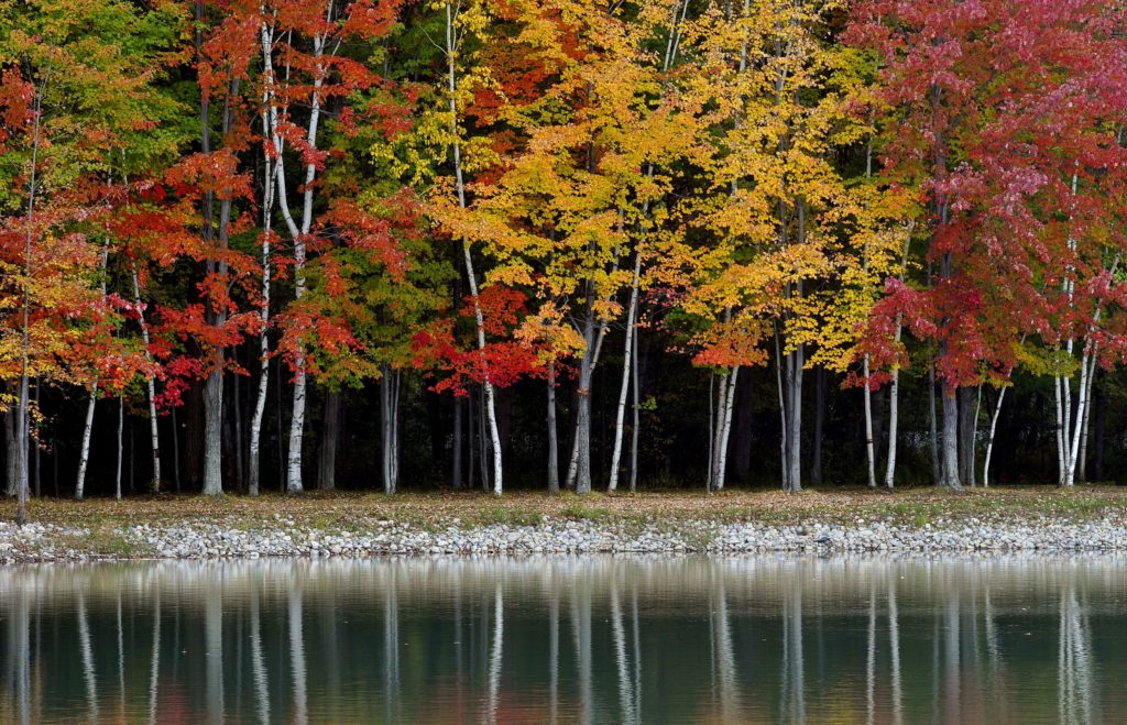 fall colors Jeff Schrier Photo award winning freelance photographer in Saginaw Midland Bay City Michigan